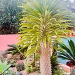 Il Giardino Davanti Al Mare Orosei