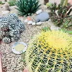 بيت للعطل Il Giardino Davanti Al Mare أروسييْ