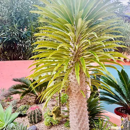 Il Giardino Davanti Al Mare Orosei