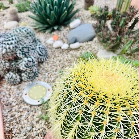 Ferienhaus Il Giardino Davanti Al Mare Orosei