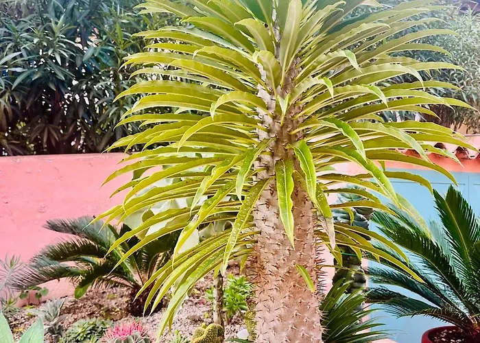 Il Giardino Davanti Al Mare Orosei
