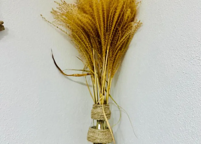 Hébergement de vacances Il Giardino Davanti Al Mare *